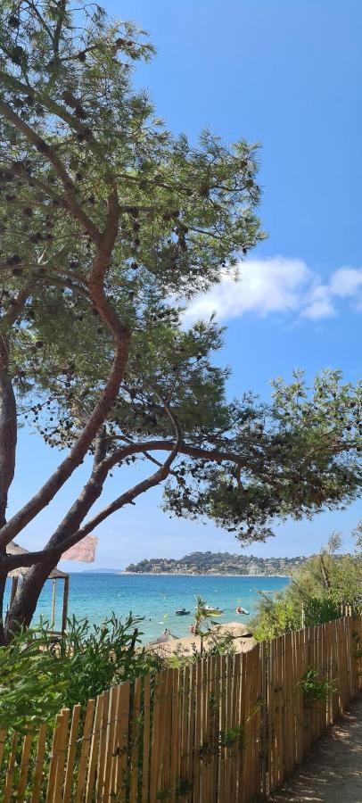 Le Tamaya T2 En Rez De Jardin A 2 Pas D Belle De Toutes Commodites Et Centre Port *