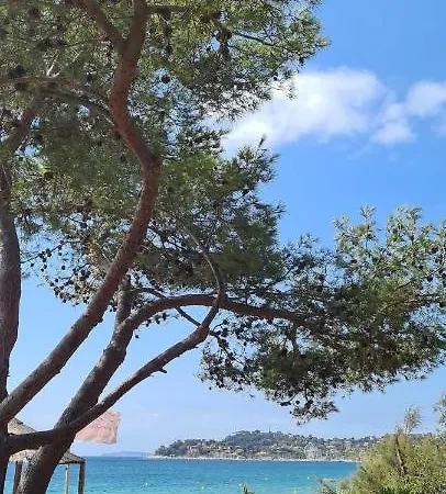 Le Tamaya Plage: Charming Garden Apartment Steps from Beach Cavalaire-sur-Mer Exterior photo